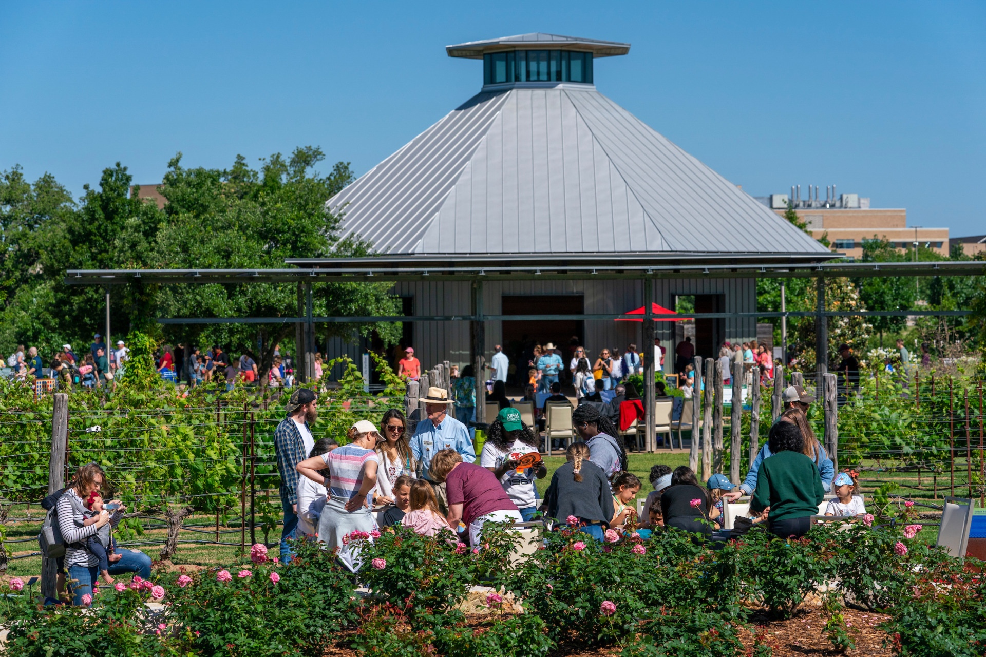 The Gardens