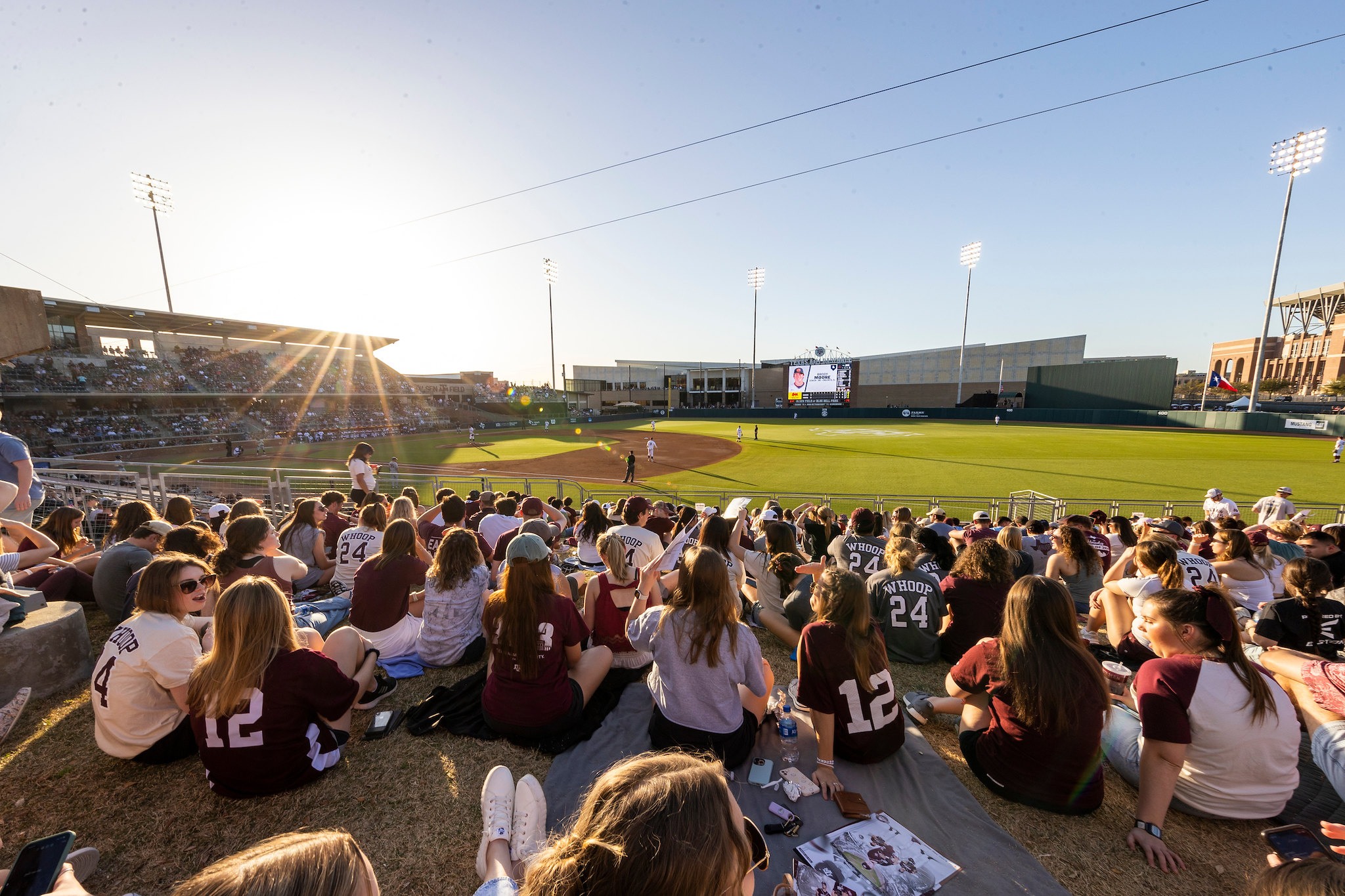 tamu baseball
